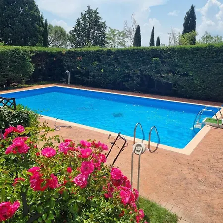 Gli Ulivi Di 2 Sienne