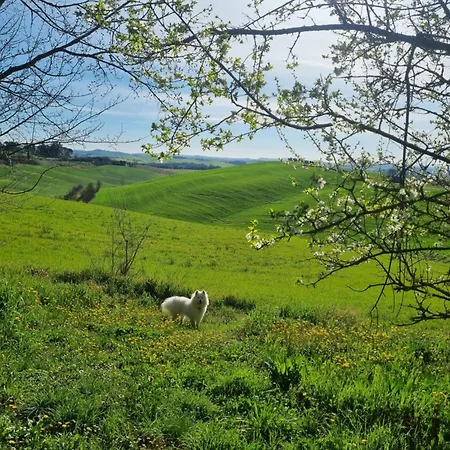Gli Ulivi Di 2 Feriehus Siena
